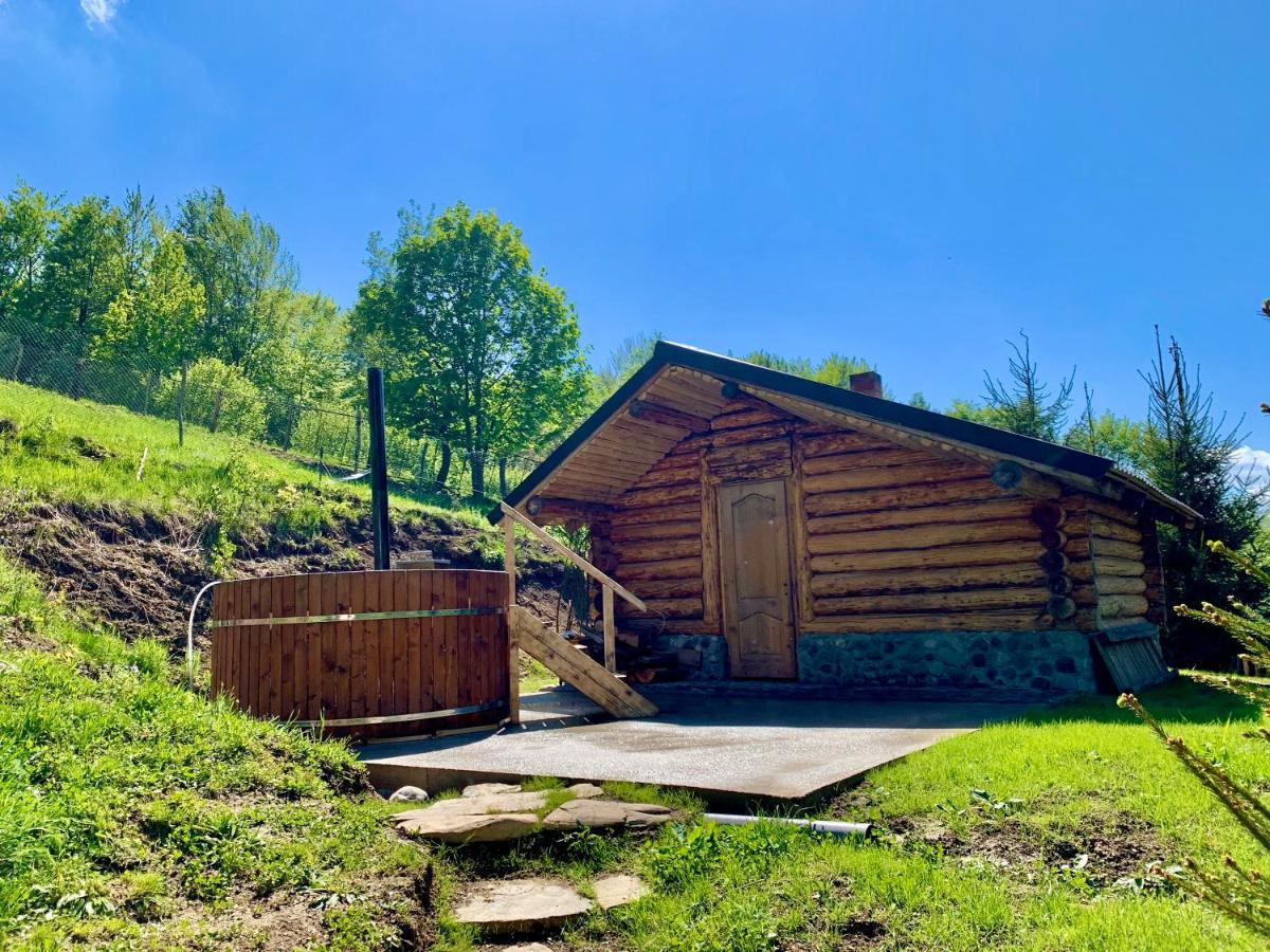Conacul Drahneilor Hotel Ruscova Luaran gambar