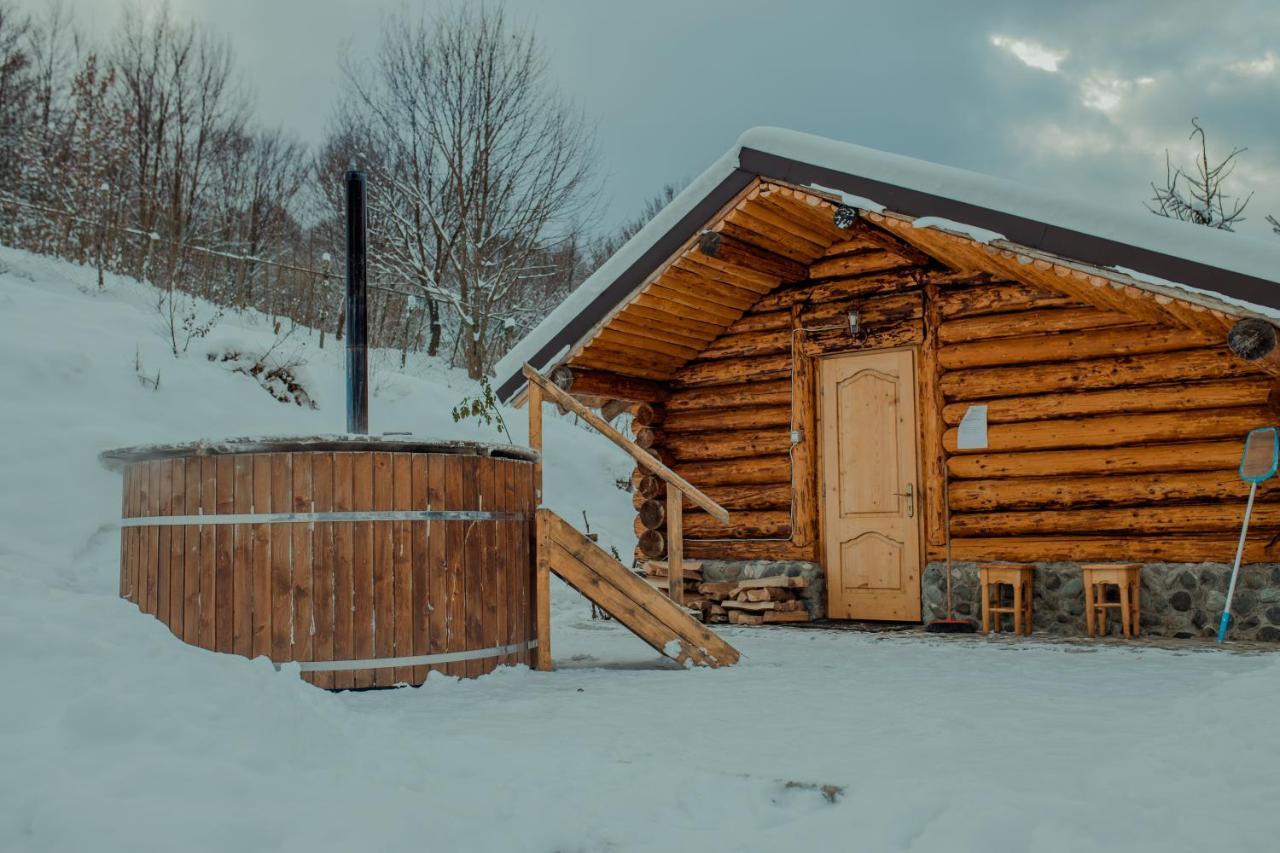 Conacul Drahneilor Hotel Ruscova Luaran gambar