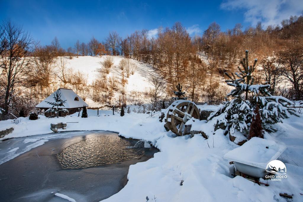 Conacul Drahneilor Hotel Ruscova Luaran gambar