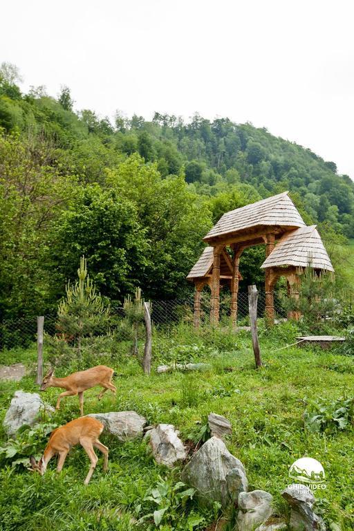 Conacul Drahneilor Hotel Ruscova Luaran gambar