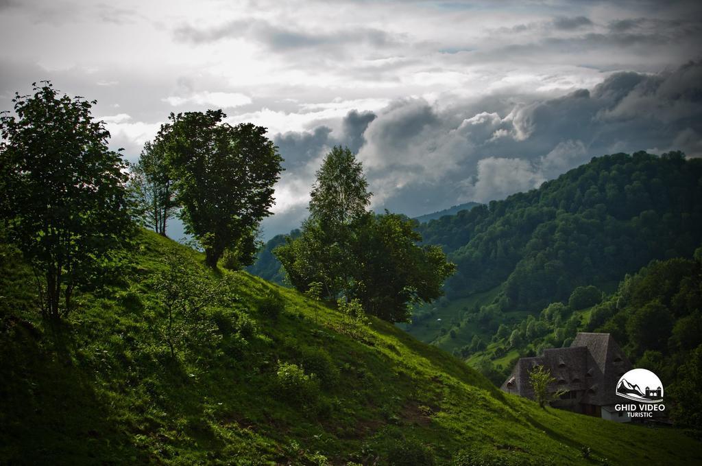 Conacul Drahneilor Hotel Ruscova Luaran gambar