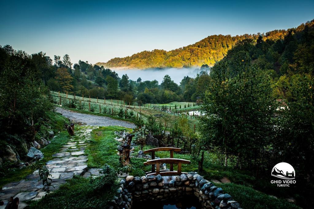 Conacul Drahneilor Hotel Ruscova Luaran gambar